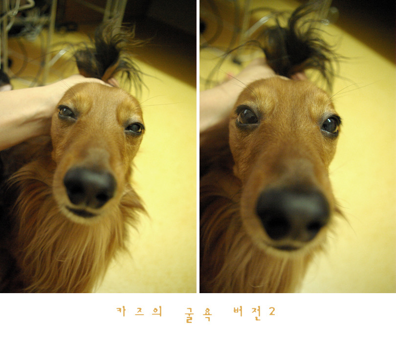 카즈 이미지