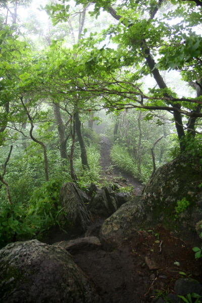 �̹����� Ŭ���ϸ� ������ ���� �� �ֽ��ϴ�.