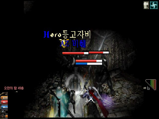 흑송 이미지