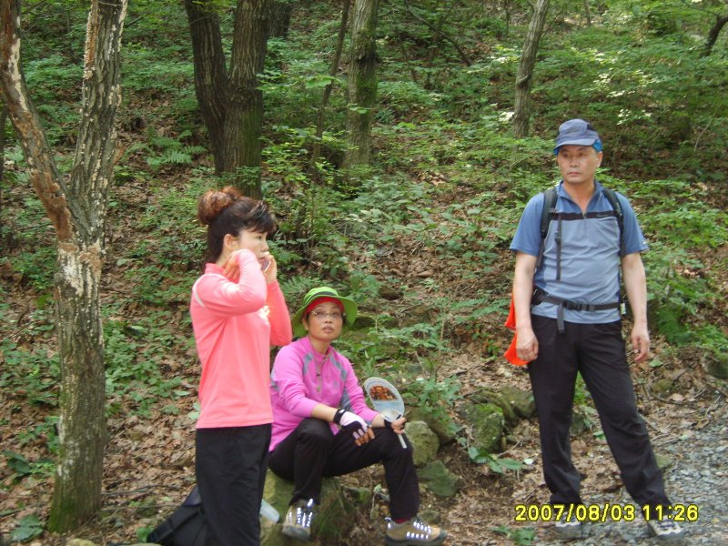 고향의맛 이미지