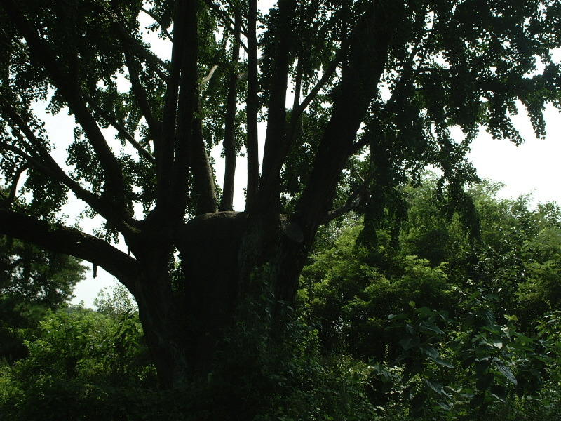 �̹����� Ŭ���ϸ� ������ ���� �� �ֽ��ϴ�.