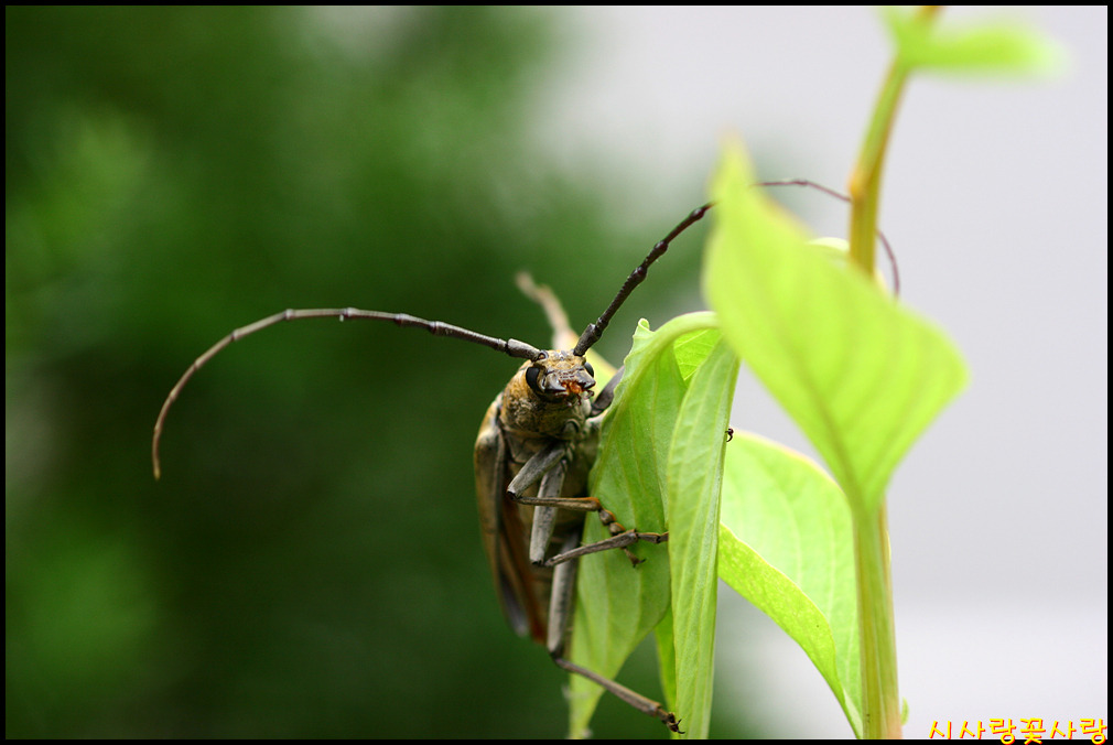 제천휴게소 이미지