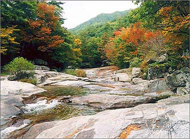 용추자연휴양림 이미지