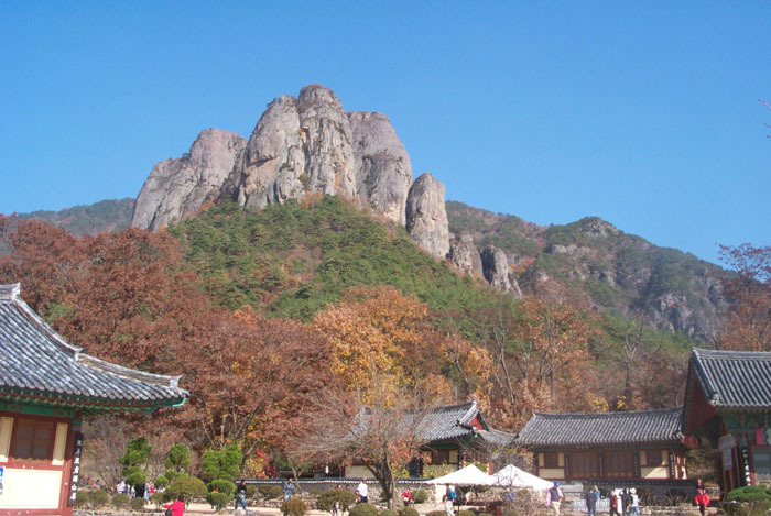 청송신용협동조합 이미지