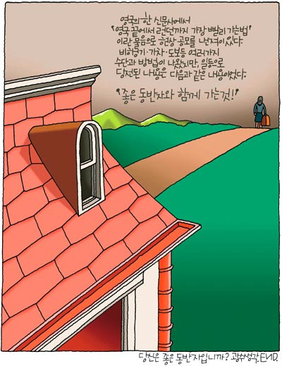 동반자 이미지